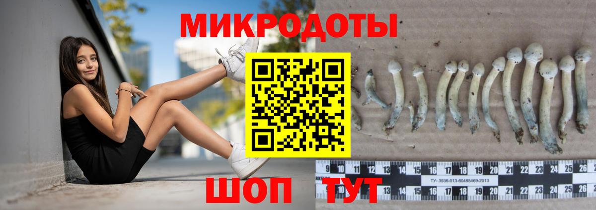 Псилоцибиновые грибы прущие грибы  Вход с VPN  Балашов 